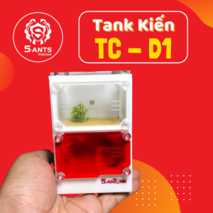Tank Nuôi Kiến Dạng Đứng TC-D1