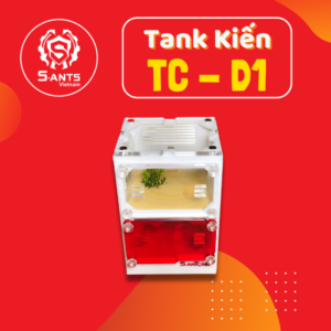 Tank Nuôi Kiến Dạng Đứng TC-D1