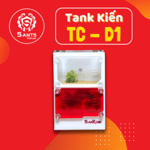 Tank Nuôi Kiến Dạng Đứng TC-D1