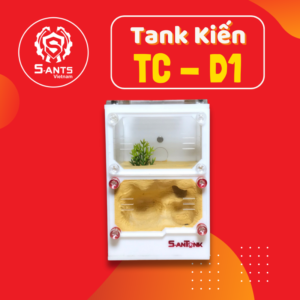 Tank Nuôi Kiến Dạng Đứng TC-D1