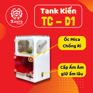 Tank Nuôi Kiến Dạng Đứng TC-D1