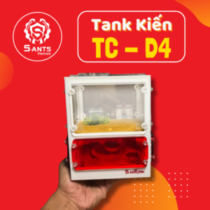 Tank Nuôi Kiến Dạng Đứng TC-D4