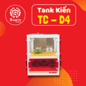 Tank Nuôi Kiến Dạng Đứng TC-D4