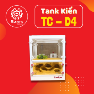 Tank Nuôi Kiến Dạng Đứng TC-D4