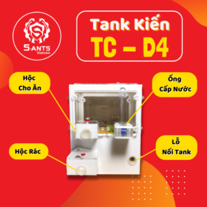 Tank Nuôi Kiến Dạng Đứng TC-D4