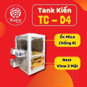 Tank Nuôi Kiến Dạng Đứng TC-D4