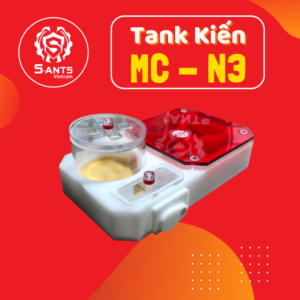 Tank Nuôi Kiến Dạng Nằm MC-N3