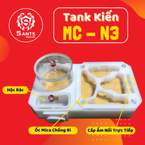 Tank Nuôi Kiến Dạng Nằm MC-N3