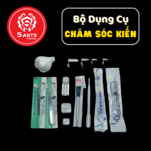 Bộ Dụng Cụ Chăm Kiến