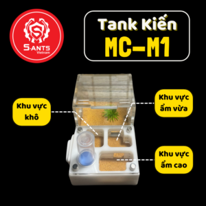 Tank Nuôi Kiến Dạng Nằm MC-M1