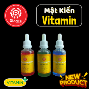 Mật Cho Kiến Có Bổ Sung Vitamin