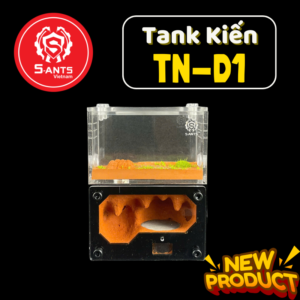 Tank Nuôi Kiến Dạng Đứng TN - D1