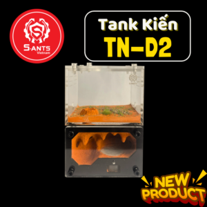 Tank Nuôi Kiến Dạng Đứng TN - D2 (2)