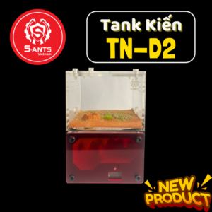 Tank Nuôi Kiến Dạng Đứng TN - D2 (2)