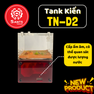 Tank Nuôi Kiến Dạng Đứng TN - D2 (2)
