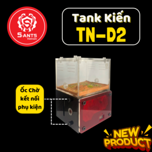 Tank Nuôi Kiến Dạng Đứng TN - D2 (2)