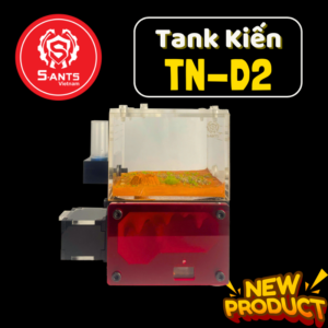 Tank Nuôi Kiến Dạng Đứng TN - D2 (2)