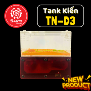 Tank Nuôi Kiến Dạng Đứng TN - D3
