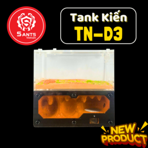 Tank Nuôi Kiến Dạng Đứng TN - D3