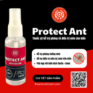 Thuốc Trị Mite Cho Kiến