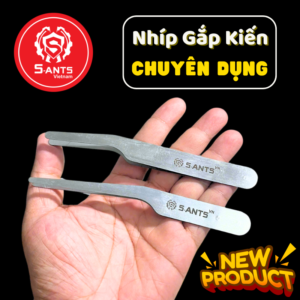Nhíp Gắp Kiến Chuyên Dụng