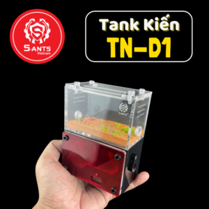 Tank Nuôi Kiến Dạng Đứng TN - D1