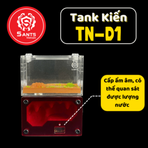 Tank Nuôi Kiến Dạng Đứng TN - D1