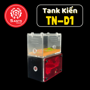 Tank Nuôi Kiến Dạng Đứng TN - D1