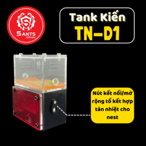 Tank Nuôi Kiến Dạng Đứng TN - D1
