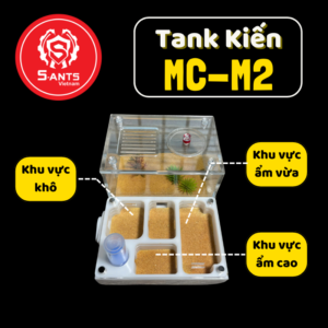 Tank Nuôi Kiến Dạng Nằm MC-M2